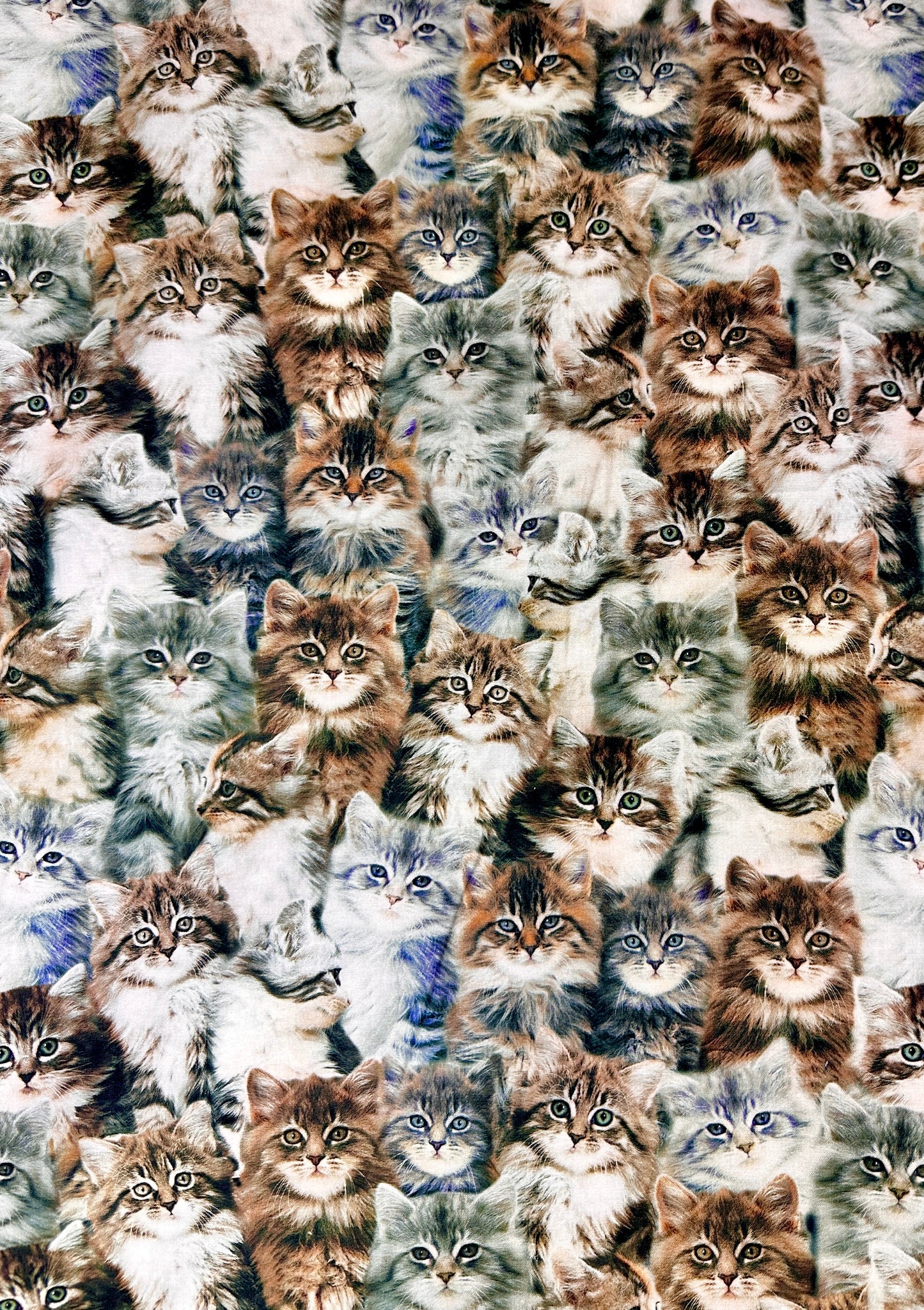 Sweet Printed Fabric by The Yard