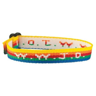 WWJD Rainbow Bracelet
