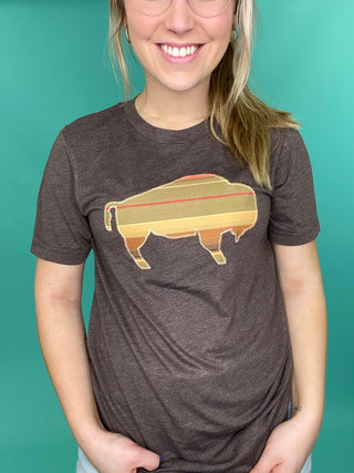 Mojave Serape Tee