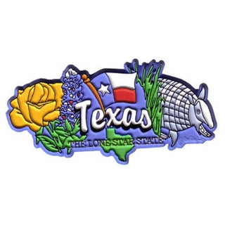 Texas Symbols Magnet