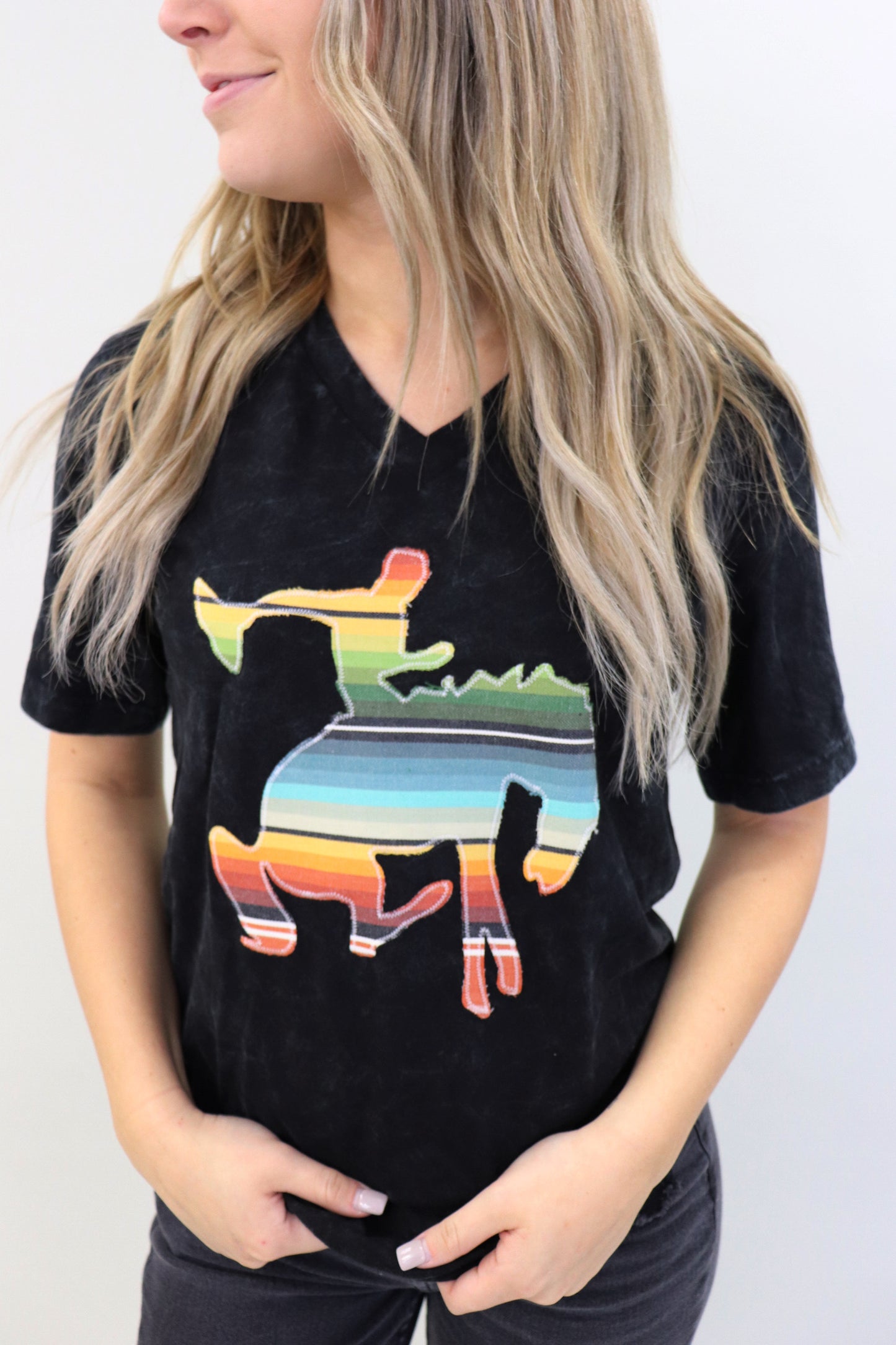 Playa Serape V-Neck Tee