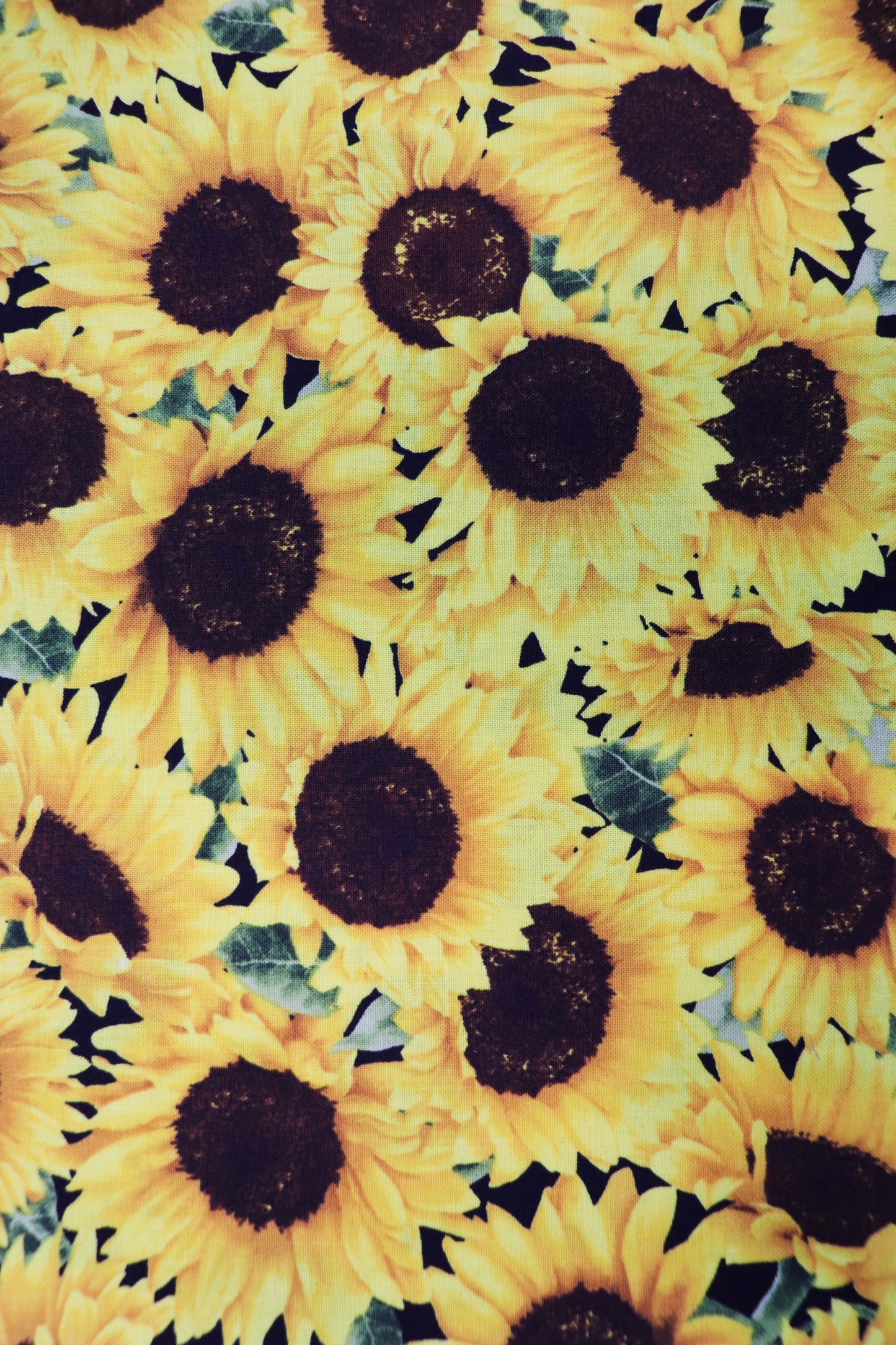 Sunflower Trucker Hat