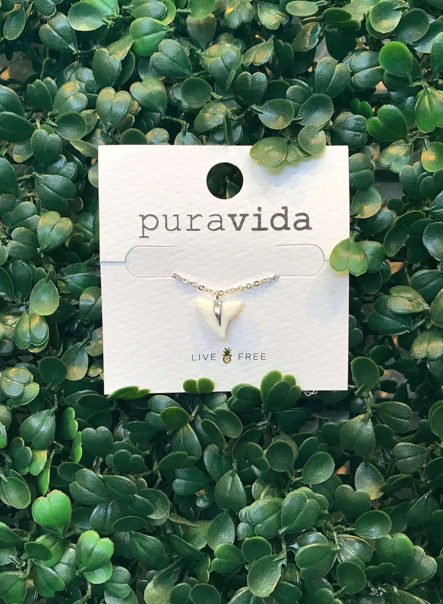 Shark Tooth Necklace