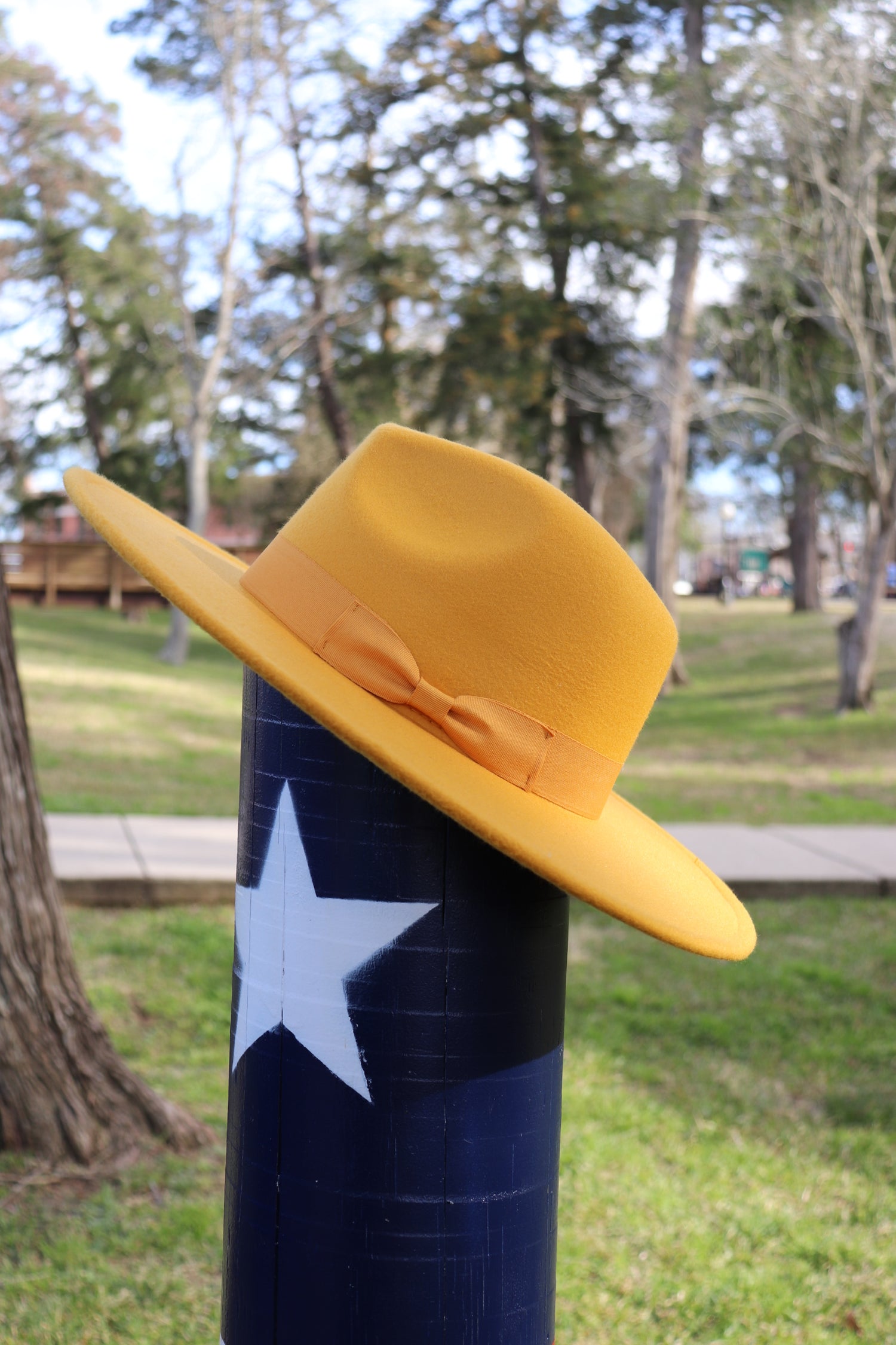 Texas Flag Straw Cowboy Hat; TEXAS FLAG Imprinted Western Hat.